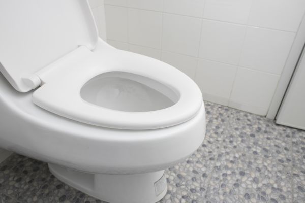 Cost of New Toilet Installation in Lewisville